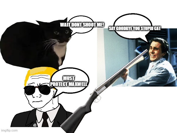 SAY GOODBYE YOU STUPID CAT WAIT DONT SHOOT ME! MUST PROTECT MAXWELL | image tagged in cats | made w/ Imgflip meme maker