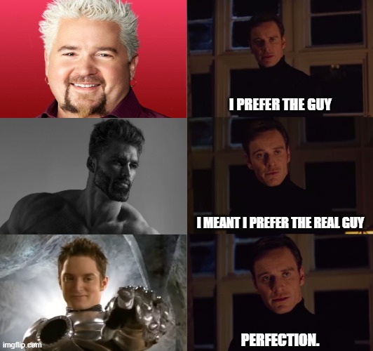 I prefer the real guy |  I PREFER THE GUY; I MEANT I PREFER THE REAL GUY; PERFECTION. | image tagged in perfection,memes | made w/ Imgflip meme maker