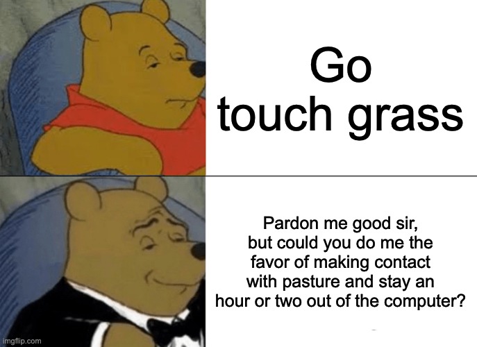 Tuxedo Winnie The Pooh Meme | Go touch grass; Pardon me good sir, but could you do me the favor of making contact with pasture and stay an hour or two out of the computer? | image tagged in memes,tuxedo winnie the pooh | made w/ Imgflip meme maker