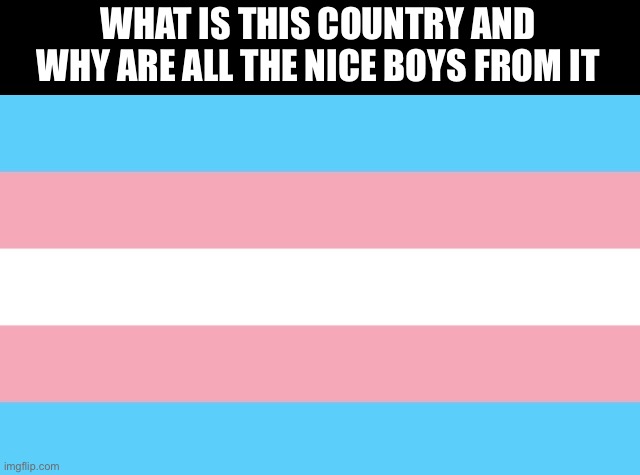 WHAT IS THIS COUNTRY AND WHY ARE ALL THE NICE BOYS FROM IT | made w/ Imgflip meme maker