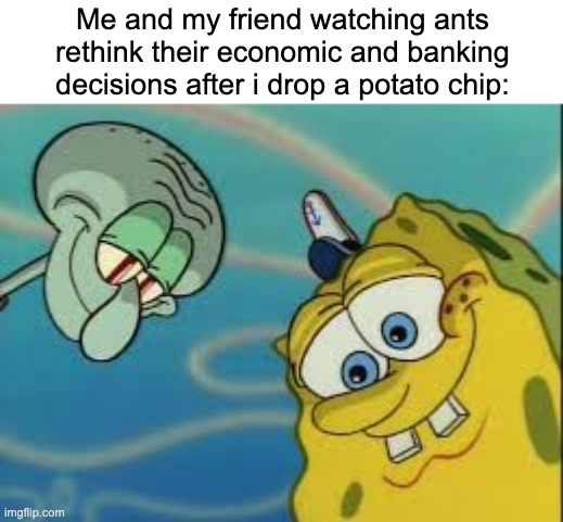 Spongebob and Squidward Looking Down | Me and my friend watching ants rethink their economic and banking decisions after i drop a potato chip: | image tagged in spongebob and squidward looking down | made w/ Imgflip meme maker