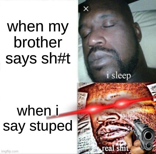 Sleeping Shaq | when my brother says sh#t; when i say stuped | image tagged in memes,sleeping shaq | made w/ Imgflip meme maker