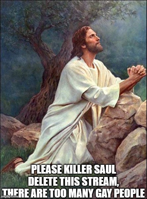 Jesus Praying | PLEASE KILLER SAUL DELETE THIS STREAM, THERE ARE TOO MANY GAY PEOPLE | image tagged in jesus praying | made w/ Imgflip meme maker