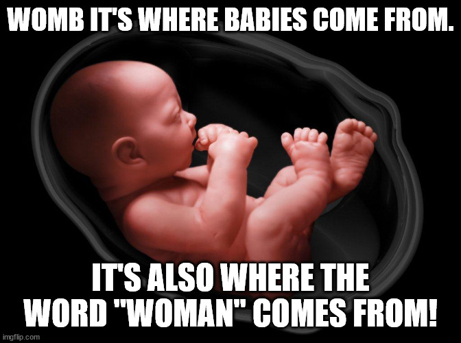 Baby in Womb | WOMB IT'S WHERE BABIES COME FROM. IT'S ALSO WHERE THE WORD "WOMAN" COMES FROM! | image tagged in baby in womb | made w/ Imgflip meme maker