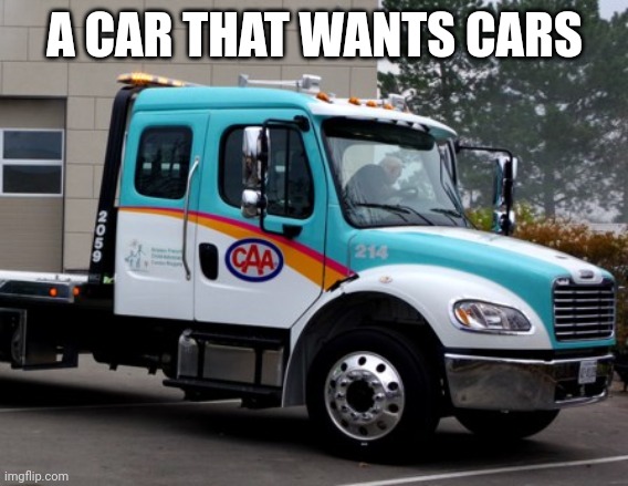 CAA CARE BEAR | A CAR THAT WANTS CARS | image tagged in caa care bear | made w/ Imgflip meme maker