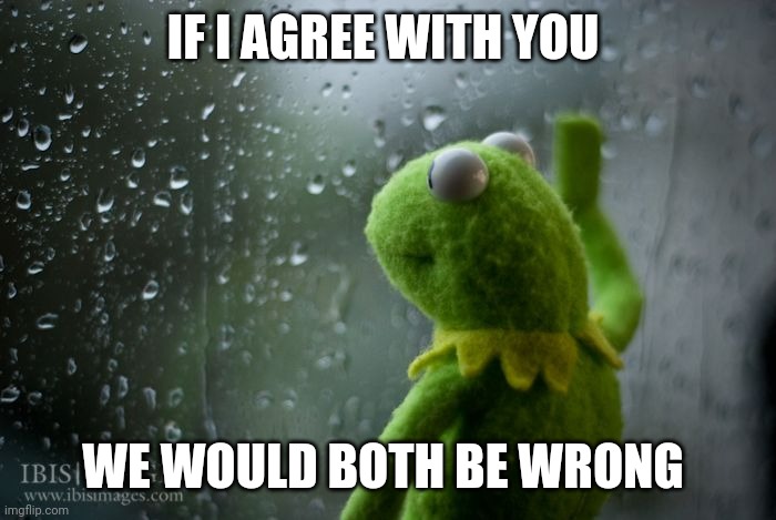 kermit window | IF I AGREE WITH YOU WE WOULD BOTH BE WRONG | image tagged in kermit window | made w/ Imgflip meme maker