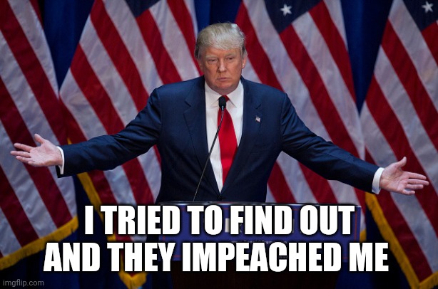Donald Trump | I TRIED TO FIND OUT AND THEY IMPEACHED ME | image tagged in donald trump | made w/ Imgflip meme maker