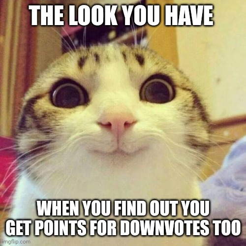 Smiling Cat Meme | THE LOOK YOU HAVE WHEN YOU FIND OUT YOU GET POINTS FOR DOWNVOTES TOO | image tagged in memes,smiling cat | made w/ Imgflip meme maker