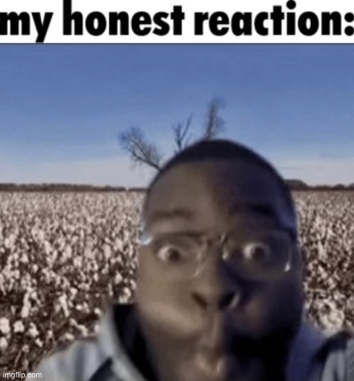 My honest reaction | image tagged in my honest reaction | made w/ Imgflip meme maker