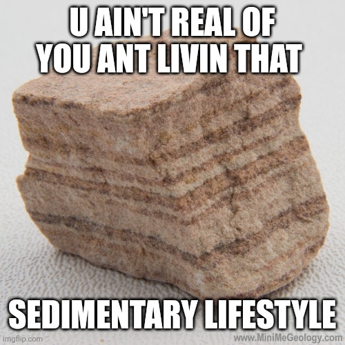 Rokk | U AIN'T REAL OF YOU ANT LIVIN THAT; SEDIMENTARY LIFESTYLE | image tagged in gey | made w/ Imgflip meme maker