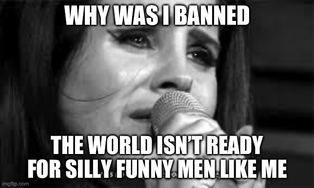 im just a silly guy, what did I do wrong? | WHY WAS I BANNED; THE WORLD ISN’T READY FOR SILLY FUNNY MEN LIKE ME | image tagged in sad lana del rey,silly | made w/ Imgflip meme maker