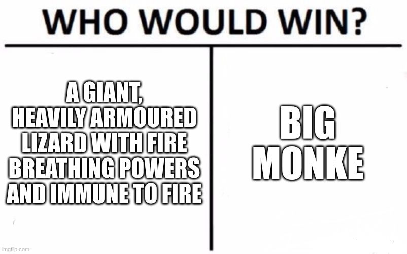 Who Would Win? Meme | A GIANT, HEAVILY ARMOURED LIZARD WITH FIRE BREATHING POWERS AND IMMUNE TO FIRE BIG MONKE | image tagged in memes,who would win | made w/ Imgflip meme maker