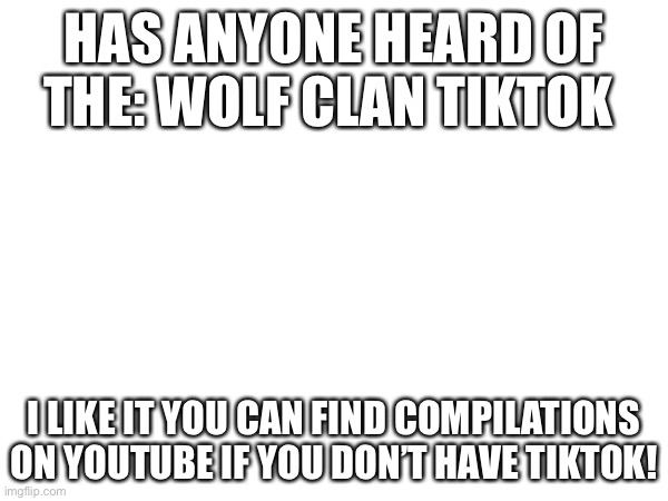 e | HAS ANYONE HEARD OF THE: WOLF CLAN TIKTOK; I LIKE IT YOU CAN FIND COMPILATIONS ON YOUTUBE IF YOU DON’T HAVE TIKTOK! | made w/ Imgflip meme maker