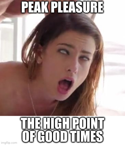 orgasm | PEAK PLEASURE THE HIGH POINT
OF GOOD TIMES | image tagged in orgasm | made w/ Imgflip meme maker