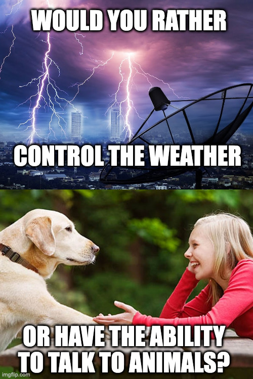 Would you rather control the weather or have the ability to talk to animals? | WOULD YOU RATHER; CONTROL THE WEATHER; OR HAVE THE ABILITY TO TALK TO ANIMALS? | image tagged in animals,weather | made w/ Imgflip meme maker