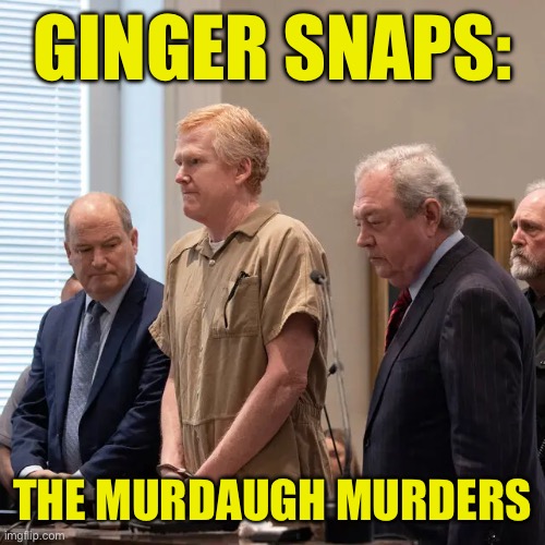 Book Club | GINGER SNAPS:; THE MURDAUGH MURDERS | image tagged in alex murdaugh,murders,red head,ginger,snaps | made w/ Imgflip meme maker