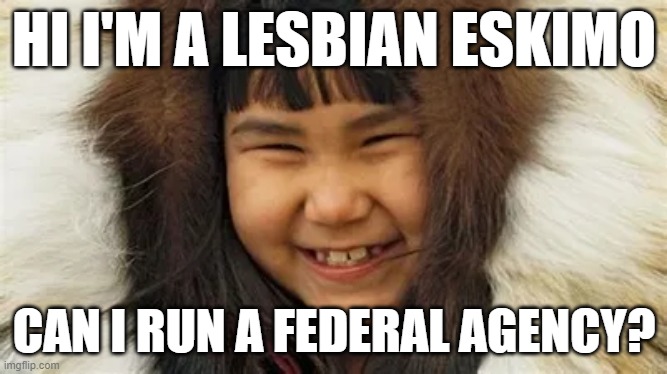 HI I'M A LESBIAN ESKIMO; CAN I RUN A FEDERAL AGENCY? | image tagged in memes | made w/ Imgflip meme maker
