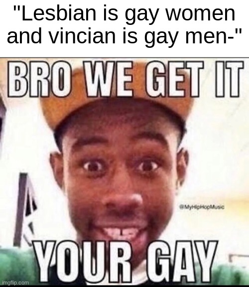 BRO WE GET IT YOU'RE GAY | "Lesbian is gay women and vincian is gay men-" | image tagged in bro we get it you're gay | made w/ Imgflip meme maker
