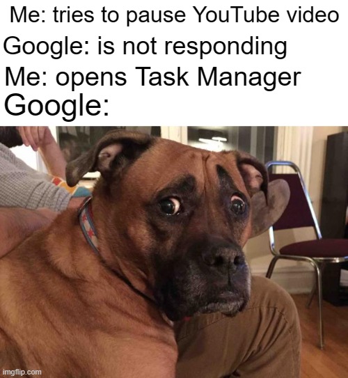 If PC stuff had personalities, Task Manager would be the big bro that doesn't do much but still commands due respect. |  Me: tries to pause YouTube video; Google: is not responding; Me: opens Task Manager; Google: | image tagged in oh crap dog | made w/ Imgflip meme maker