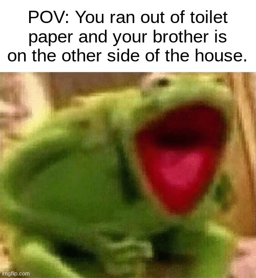 e.g. Kermit Yelling | POV: You ran out of toilet paper and your brother is on the other side of the house. | image tagged in e g kermit yelling | made w/ Imgflip meme maker