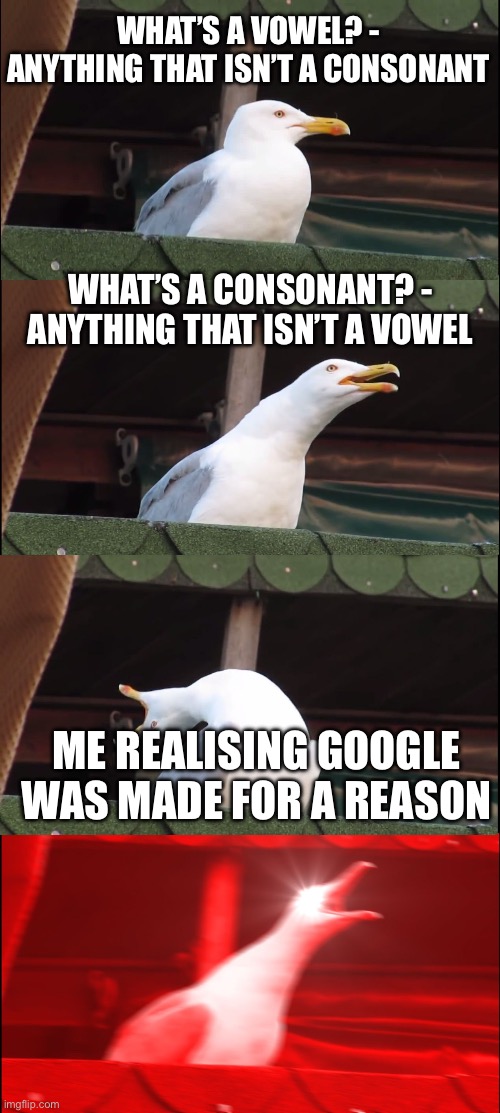 Inhaling Seagull | WHAT’S A VOWEL? - ANYTHING THAT ISN’T A CONSONANT; WHAT’S A CONSONANT? - ANYTHING THAT ISN’T A VOWEL; ME REALISING GOOGLE WAS MADE FOR A REASON | image tagged in memes,inhaling seagull | made w/ Imgflip meme maker