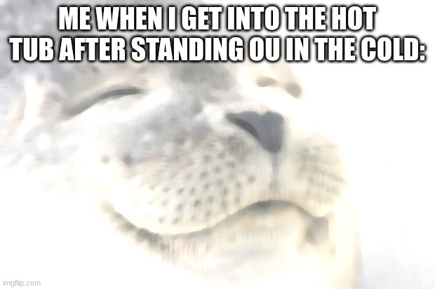 Satisfied Seal Meme | ME WHEN I GET INTO THE HOT TUB AFTER STANDING OU IN THE COLD: | image tagged in memes,satisfied seal | made w/ Imgflip meme maker