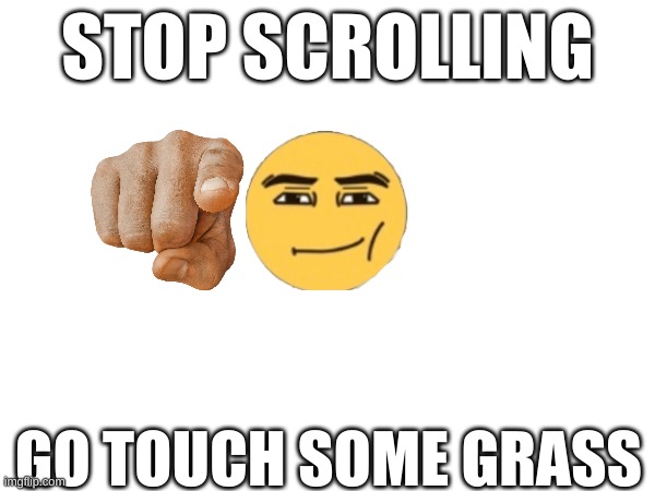 stop scrolling | STOP SCROLLING; GO TOUCH SOME GRASS | image tagged in touch grass,stop reading the tags,hello | made w/ Imgflip meme maker