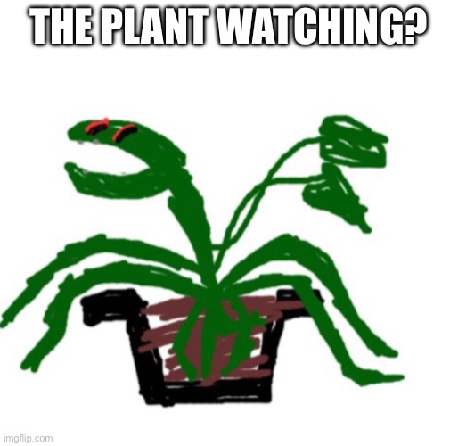 Pot plant | THE PLANT WATCHING? | image tagged in pot plant | made w/ Imgflip meme maker