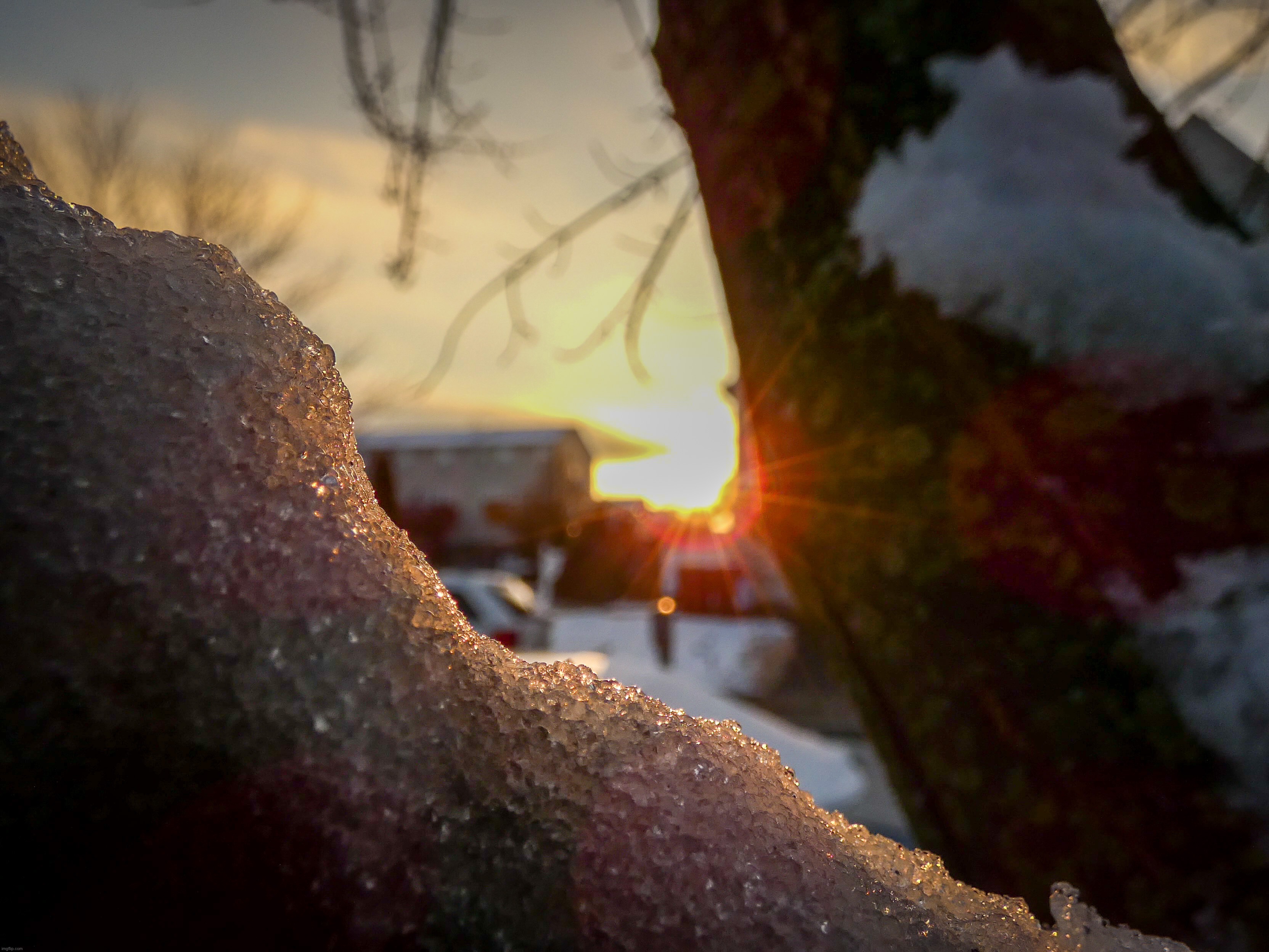Tuesday’s sunset with snow on a branch | image tagged in share your own photos | made w/ Imgflip meme maker