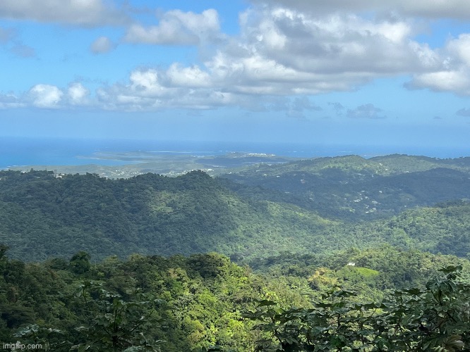 The great view from some of the highest mountains in Puerto Rico | image tagged in photography,jungle,photos | made w/ Imgflip meme maker