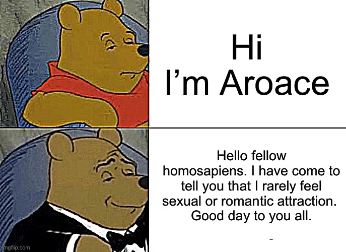Tuxedo Winnie The Pooh | Hi I’m Aroace; Hello fellow homosapiens. I have come to tell you that I rarely feel sexual or romantic attraction. 
Good day to you all. | image tagged in memes,tuxedo winnie the pooh,lgbtq | made w/ Imgflip meme maker