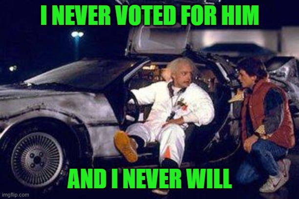 doc brown y marty | I NEVER VOTED FOR HIM AND I NEVER WILL | image tagged in doc brown y marty | made w/ Imgflip meme maker