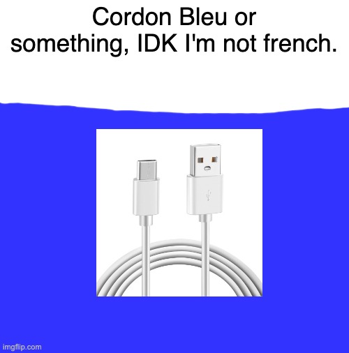 Cordon Bleu | Cordon Bleu or something, IDK I'm not french. | image tagged in blank white template | made w/ Imgflip meme maker