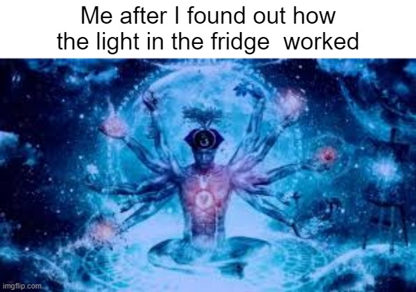 I know every secret of the universe. | Me after I found out how the light in the fridge  worked | image tagged in biggest brain of them all,memes,meme,true story | made w/ Imgflip meme maker