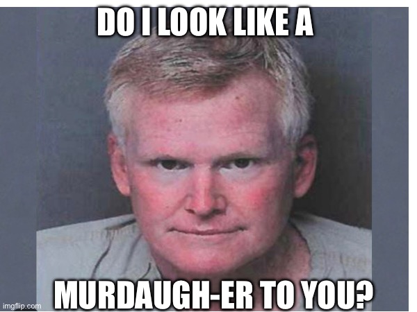 Murdaugh | DO I LOOK LIKE A; MURDAUGH-ER TO YOU? | image tagged in murder,lawyer,south carolina,southern | made w/ Imgflip meme maker