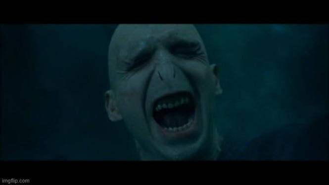Voldemort Noooooo | image tagged in voldemort noooooo | made w/ Imgflip meme maker