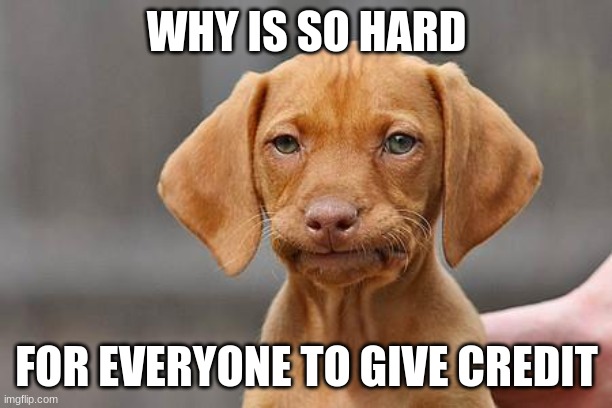 Dissapointed puppy | WHY IS SO HARD FOR EVERYONE TO GIVE CREDIT | image tagged in dissapointed puppy | made w/ Imgflip meme maker