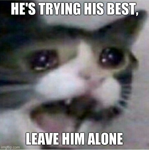 crying cat | HE'S TRYING HIS BEST, LEAVE HIM ALONE | image tagged in crying cat | made w/ Imgflip meme maker