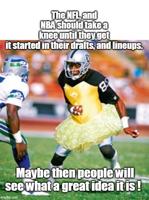 The NFL, and NBA should take a knee until they get it started in their drafts, and lineups. Maybe then people will see what a great idea it  | made w/ Imgflip meme maker