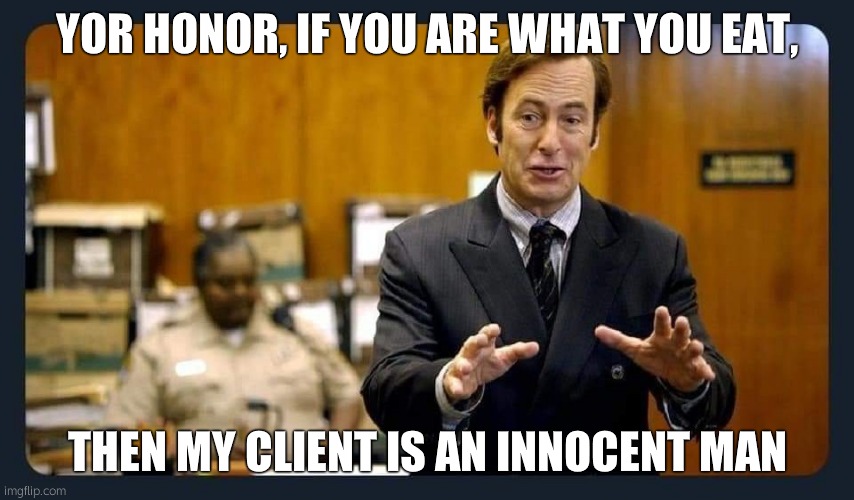 Your honour | YOR HONOR, IF YOU ARE WHAT YOU EAT, THEN MY CLIENT IS AN INNOCENT MAN | image tagged in your honour | made w/ Imgflip meme maker