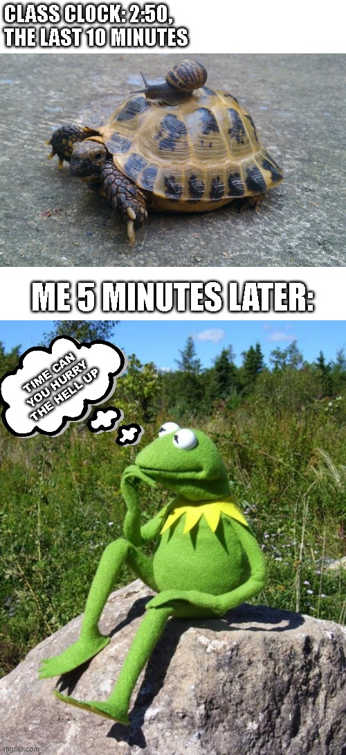 why cant time in school move any faster | CLASS CLOCK: 2:50,
THE LAST 10 MINUTES; ME 5 MINUTES LATER:; TIME CAN YOU HURRY THE HELL UP | image tagged in turtle snail,kermit-thinking,time in cllass | made w/ Imgflip meme maker