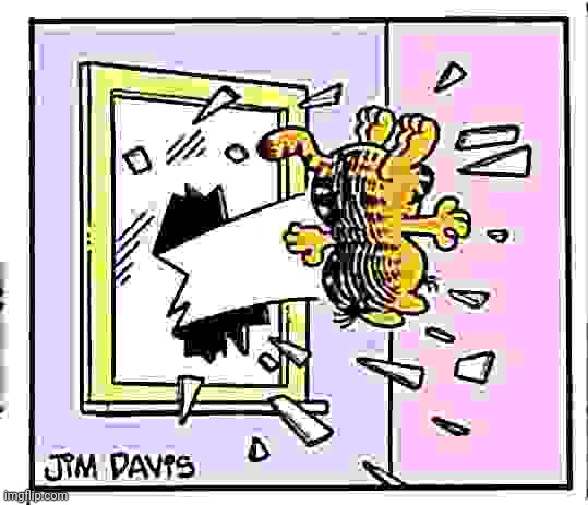 Garfield gets thrown out of a window | image tagged in garfield gets thrown out of a window | made w/ Imgflip meme maker