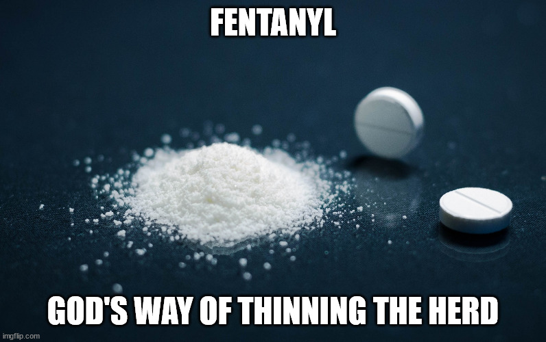 God's Way | FENTANYL; GOD'S WAY OF THINNING THE HERD | image tagged in fentanyl,drugs,god,stupidity,death,suicide | made w/ Imgflip meme maker