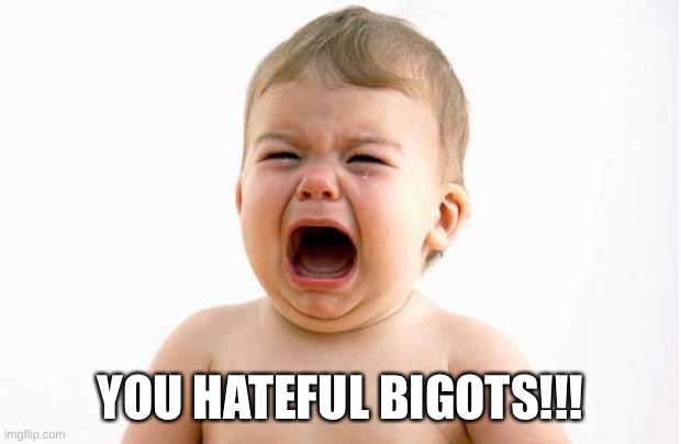 Baby crying  | YOU HATEFUL BIGOTS!!! | image tagged in baby crying | made w/ Imgflip meme maker