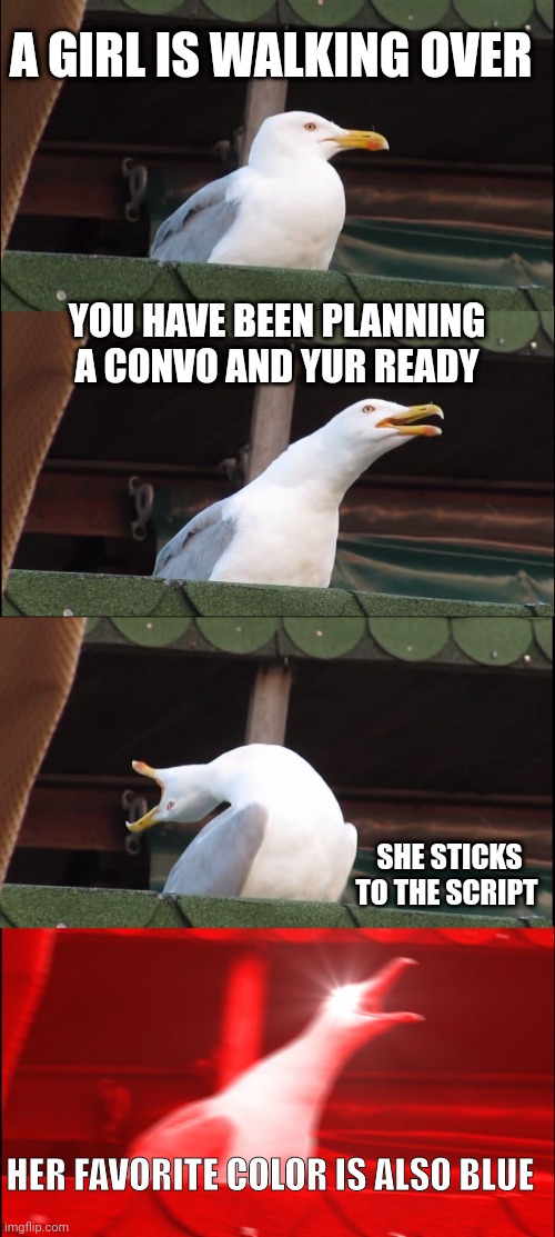 Inhaling Seagull Meme | A GIRL IS WALKING OVER; YOU HAVE BEEN PLANNING A CONVO AND YUR READY; SHE STICKS TO THE SCRIPT; HER FAVORITE COLOR IS ALSO BLUE | image tagged in memes,inhaling seagull | made w/ Imgflip meme maker
