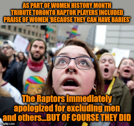 AS PART OF WOMEN HISTORY MONTH TRIBUTE TORONTO RAPTOR PLAYERS INCLUDED PRAISE OF WOMEN ‘BECAUSE THEY CAN HAVE BABIES’; The Raptors immediately apologized for excluding men and others...BUT OF COURSE THEY DID | image tagged in women,birthing person,liberal logic | made w/ Imgflip meme maker