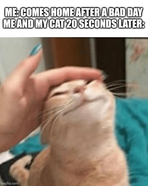 All the sadness just disappears | ME: COMES HOME AFTER A BAD DAY
ME AND MY CAT 20 SECONDS LATER: | image tagged in pet the cat | made w/ Imgflip meme maker
