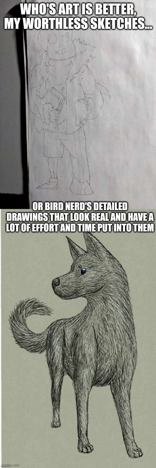 This isn't a hard choice.. I just want to show this to him and prove how much better he is than me. | WHO'S ART IS BETTER, MY WORTHLESS SKETCHES... OR BIRD NERD'S DETAILED DRAWINGS THAT LOOK REAL AND HAVE A LOT OF EFFORT AND TIME PUT INTO THEM | image tagged in comparison | made w/ Imgflip meme maker