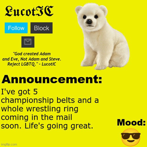 . | I've got 5 championship belts and a whole wrestling ring coming in the mail soon. Life's going great. 😎 | image tagged in lucotic polar bear announcement temp v2 | made w/ Imgflip meme maker