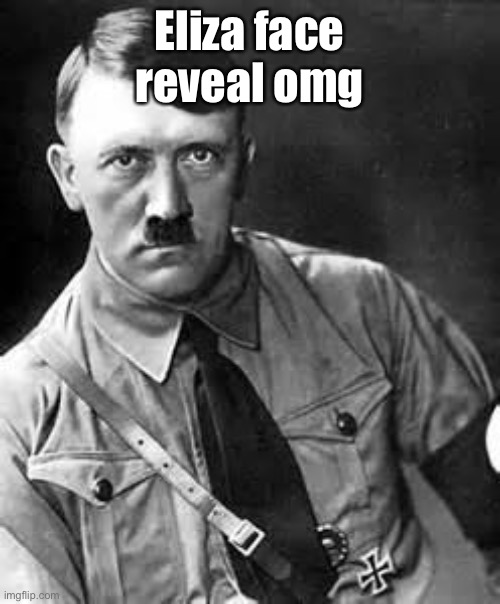 I can’t remember if Eliza was either saying that anyone Jewish had a bad stereotype or smthn else | Eliza face reveal omg | image tagged in adolf hitler,balls,dont care | made w/ Imgflip meme maker